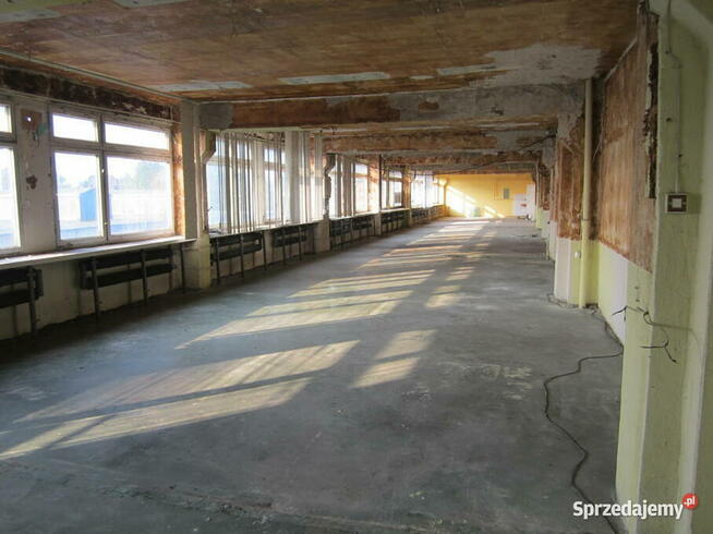 Budynek wielofunkcyjny RAWA Mazowiecka - tanio!