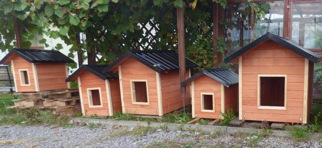 Buda dla psa , doghouse