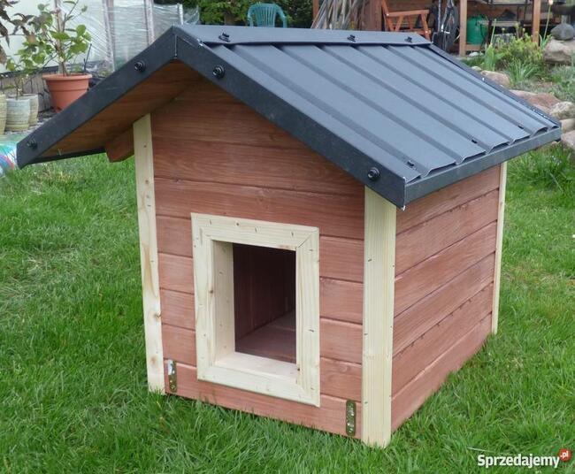 Buda dla psa