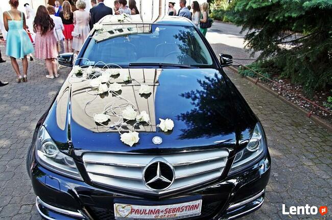 kamerzysta ślubny wideofilmowanie fotografowanie wesel