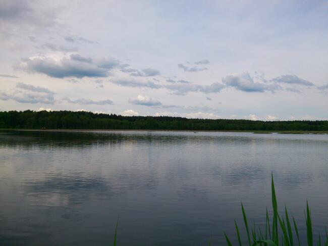 Cena za m2 terenu budowlanego wynosi 10€/m2 netto.