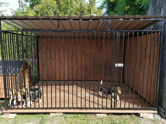 Kojec Klatka Zagroda Buda dla psa 3mx2m