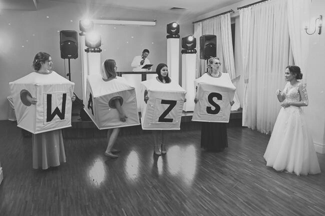 Dj Wodzirej na Wesele Janów Lubelski