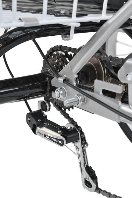 Elektryczny Rower Trójkołowy Rehtime Obniżony wersja R3