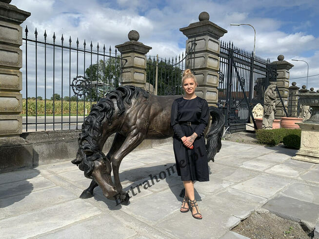 Lew pałacowy H220cm , figura z Kamienia