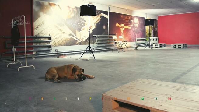 Lokal do wynajęcia 200 m² - Mokotów/Służewiec