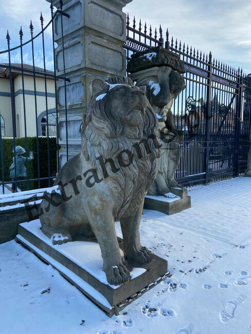 Lew pałacowy H220cm , figura z Kamienia