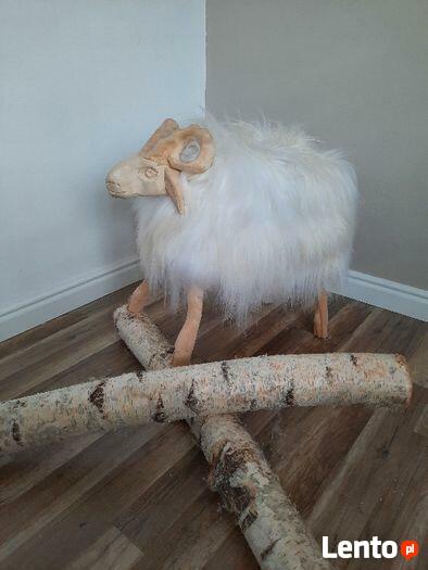 Baran Dekoracyjny Skóra Owcza Naturalna Dekoracja Ozdoba