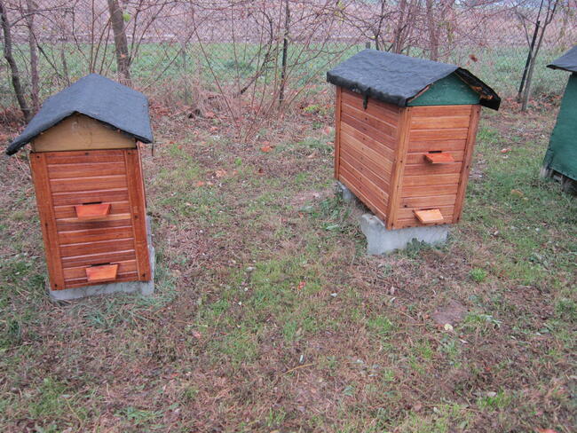 pszczoly ule odklady