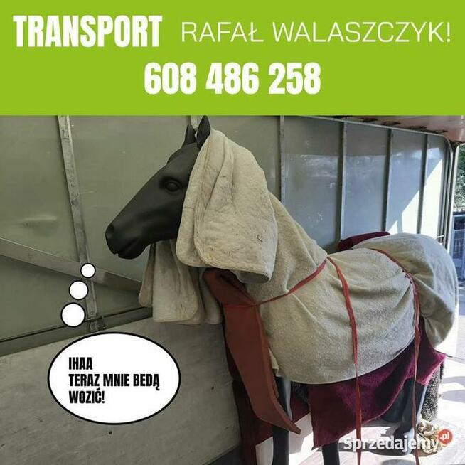 Jak bezpiecznie i niedrogo przetransportować swój majątek?