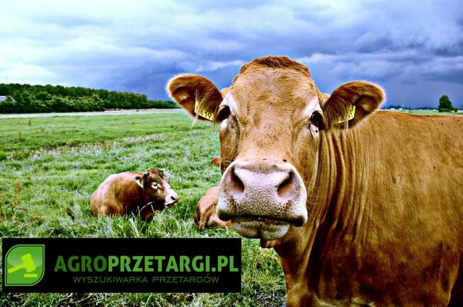 Dzierżawa sprzedaż gruntów rolnych przetargi nieograniczone