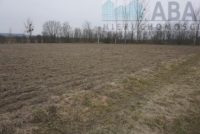 Działka rolno-budowlana w Gosławicach