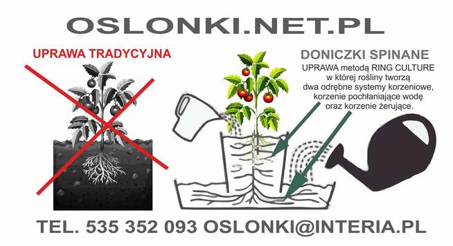 DONICZKA spinana do uprawy 20x20 - MOCNA HIT 2023
