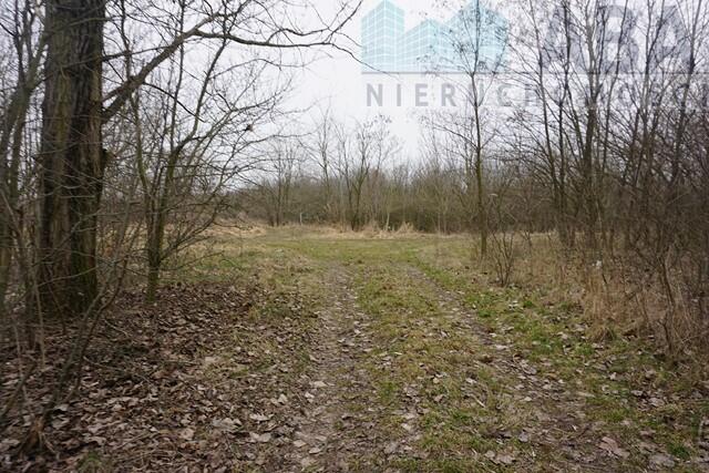 Działka rolno-budowlana w Gosławicach