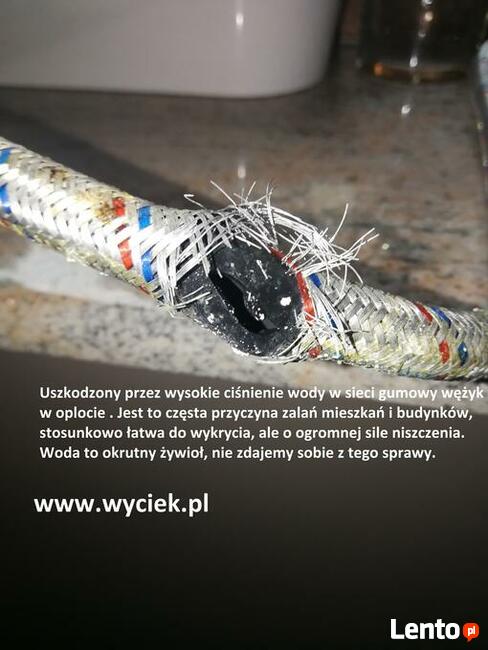 Lokalizacja wykrywanie wycieków wody Katowice