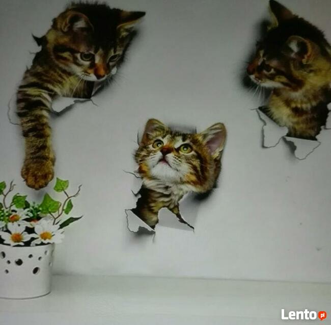 Super koty naklejki