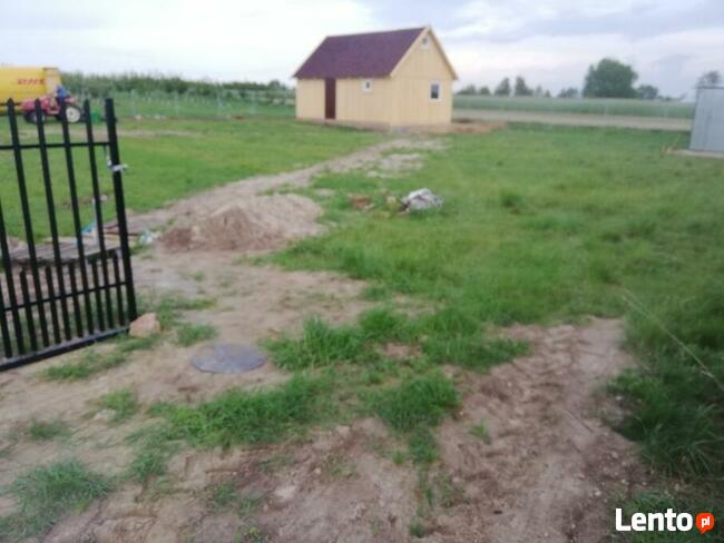 Glebogryzarka separacyjna usługi