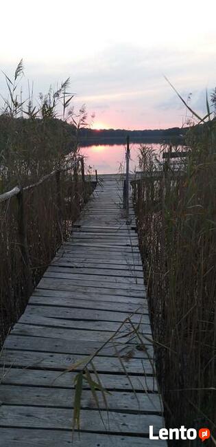 Biały Domek- komfort i luz...