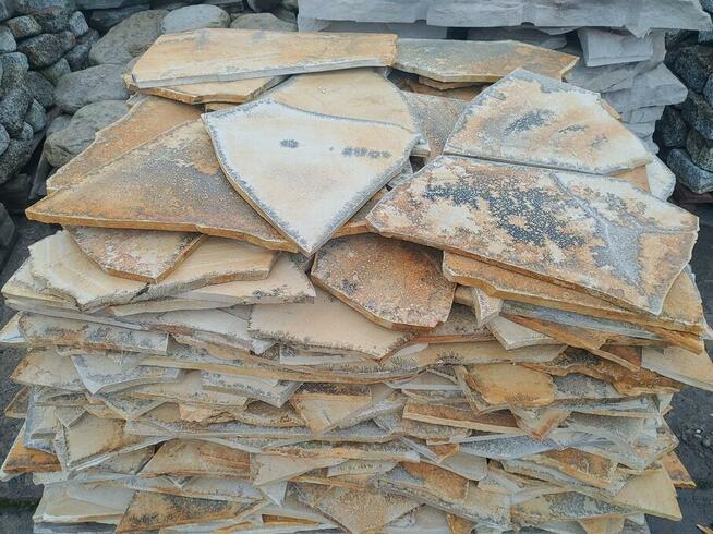 Gnejs łupek - kamień z odciskami roślin