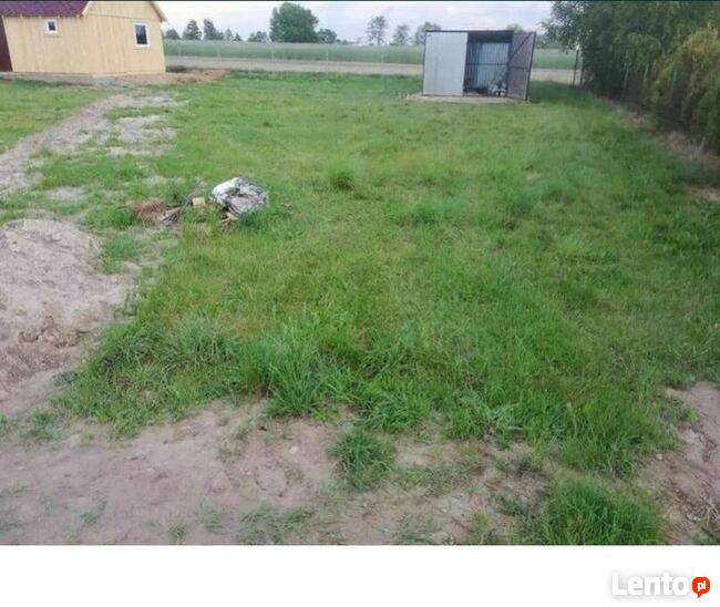 Glebogryzarka separacyjna usługi