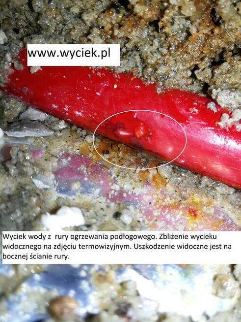 Lokalizacja wykrywanie wycieków wody Bielsko Biała