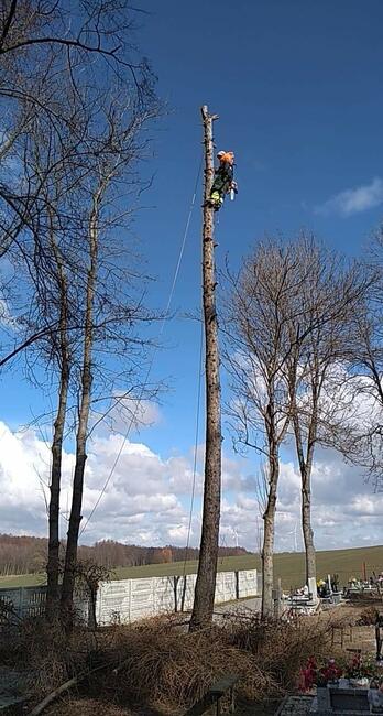 Usługa rebakiem do gałęzi
