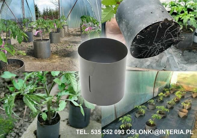 █▬█ █ ▀█▀ 2023 - Uprawa Pomidorów w Doniczkach Spinanych (