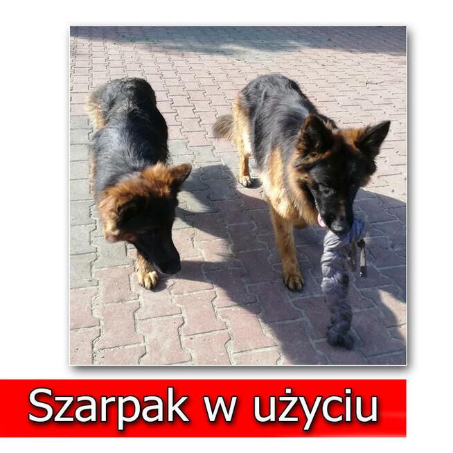 ELASTYCZNY Szarpak Mata węchowa dla Psa zobacz