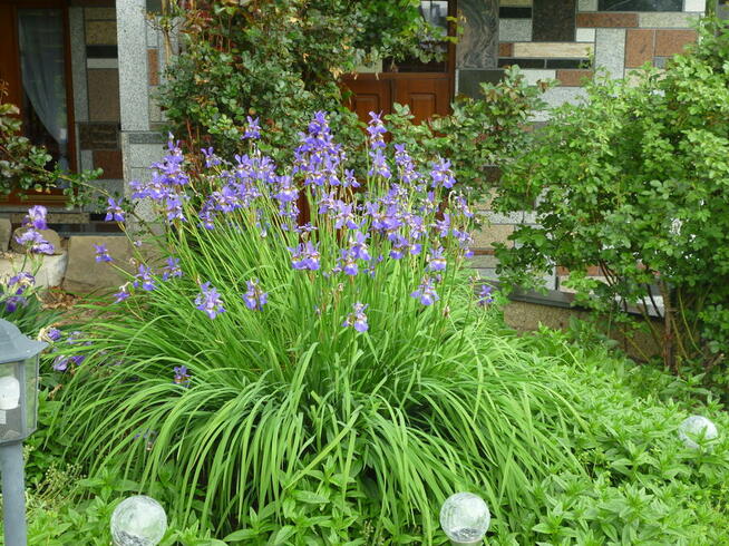 Noclegi Kluszkowce, Czorsztyn, Pieniny