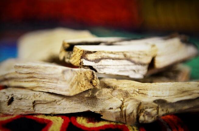 DREWIENKA PALO SANTO - 50 GRAM