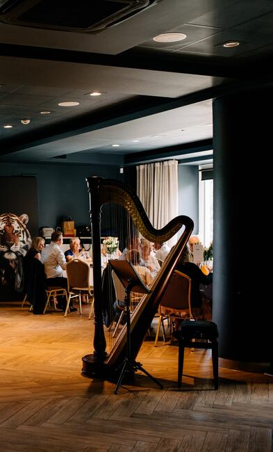 Harfa - oprawa muzyczna ślubu