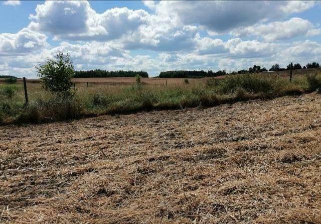 działka inwestycyjna Mazury jezioro las rzeka