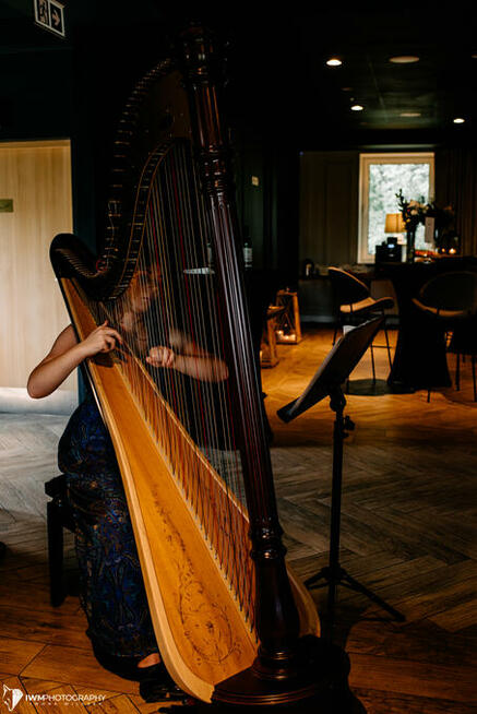 Harfa - oprawa muzyczna ślubu