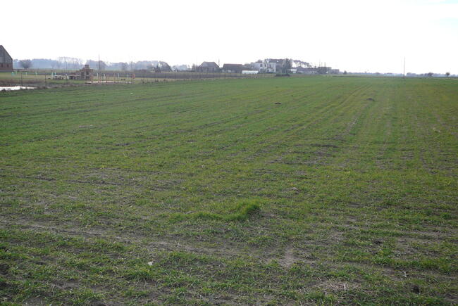 Działki w Grzebienisku