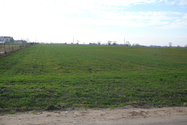 Działki w Grzebienisku