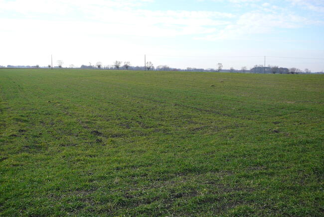 Działki w Grzebienisku