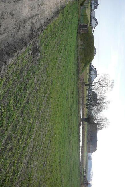 Działki w Grzebienisku