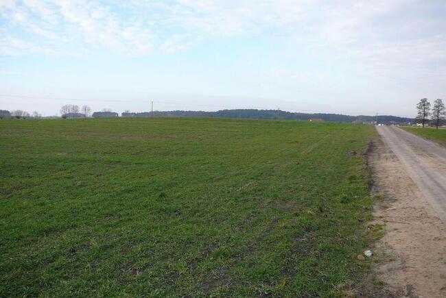 Działki w Grzebienisku