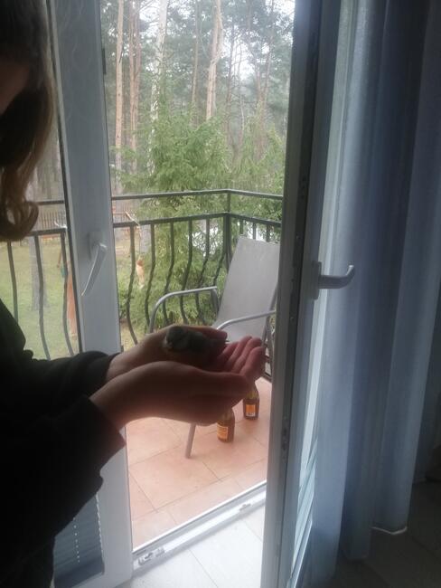 Komora tlenowa , joga, kuchnia optymaln, Pobyty wzmacniające