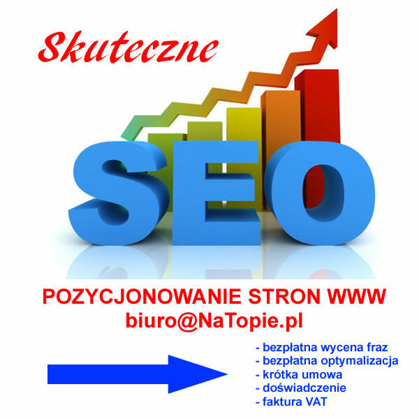 Tworzenie stron www, SEO, pozycjonowanie, e-sklepy, SSL