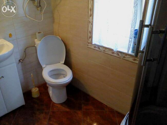 Wczasy u Kasi w Bógzapłać! jezioro ryby lasy grzyby.