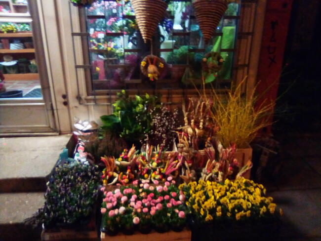 Kwiaty Wiązanki Bukiety Wieńce Kwiaciarnia zaprasza do 23:00