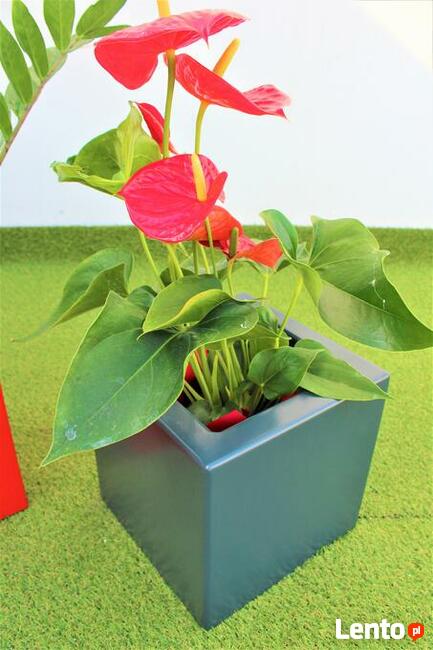 Donice aluminiowe, na wymiar, malowane