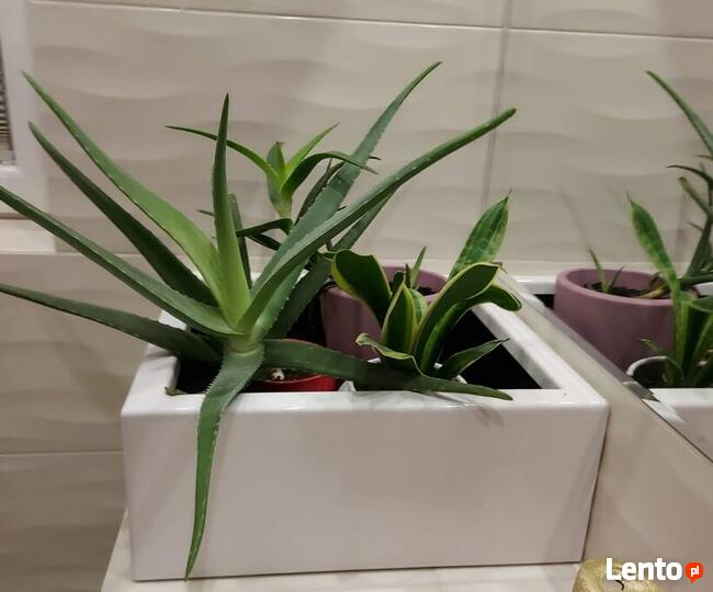 Donice aluminiowe, na wymiar, malowane