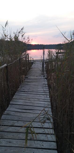 Wakacje 2024 w Białym Domku nad jeziorem