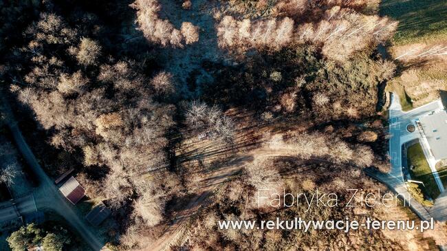 Mulczowanie Mulczer Karczowanie Działek Oczyszczanie Działki