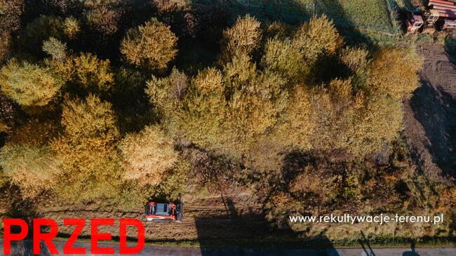 Mulczowanie Mulczer Karczowanie Działek Oczyszczanie Działki
