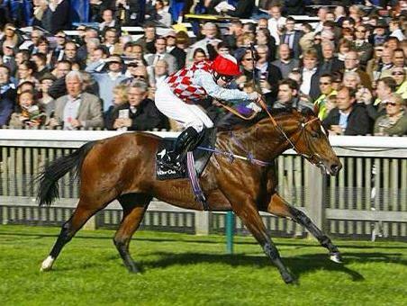 Konie wyścigowe oraz rekreacyjne