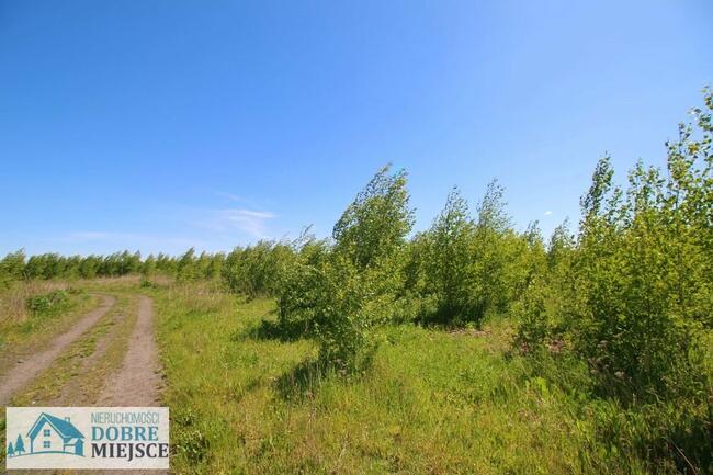 Działka budowlana Aleksandrowo gm. Dobrcz
