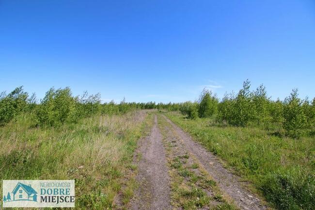 Działka budowlana Aleksandrowo gm. Dobrcz